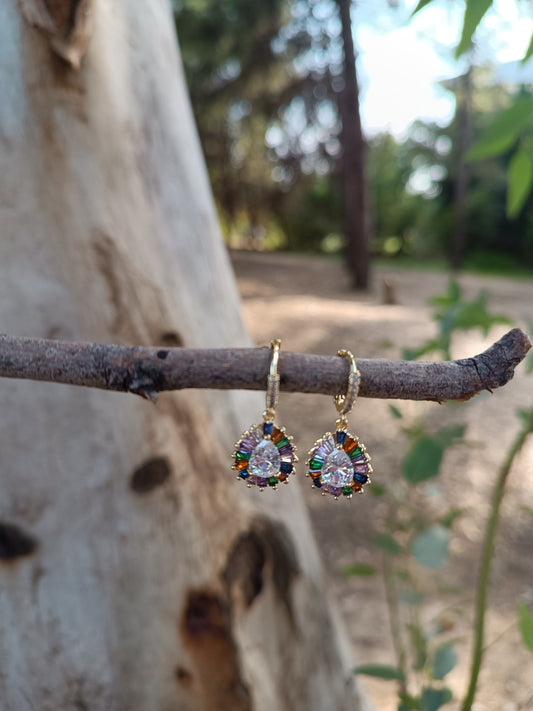 Fancy Multicolor Earrings